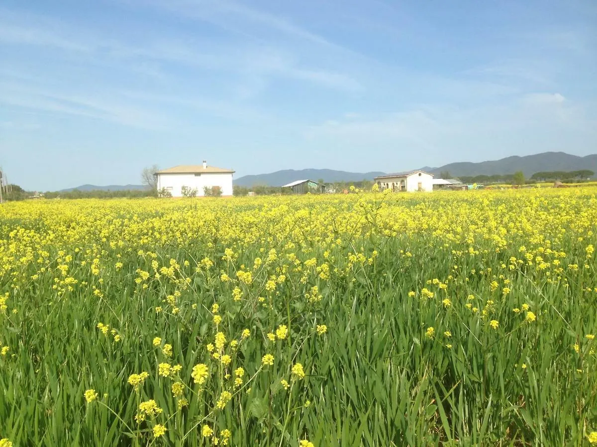 Villa Il Grano Di Bramante à Marrucheto Italie